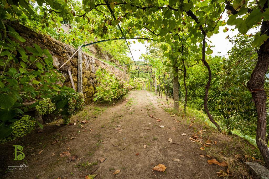 Pacos de Gaiolo Quinta Da Bouca - Agroturismo חדר תמונה