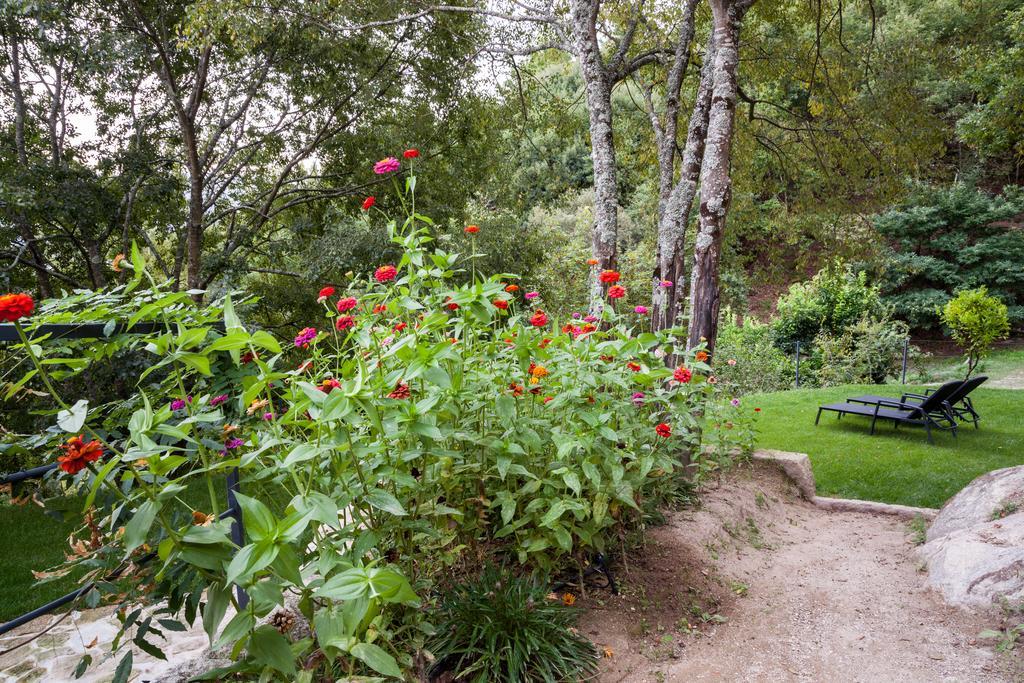 Pacos de Gaiolo Quinta Da Bouca - Agroturismo חדר תמונה
